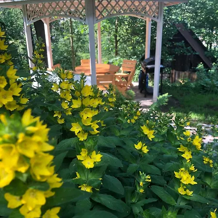 Slow Life Karkonosze *