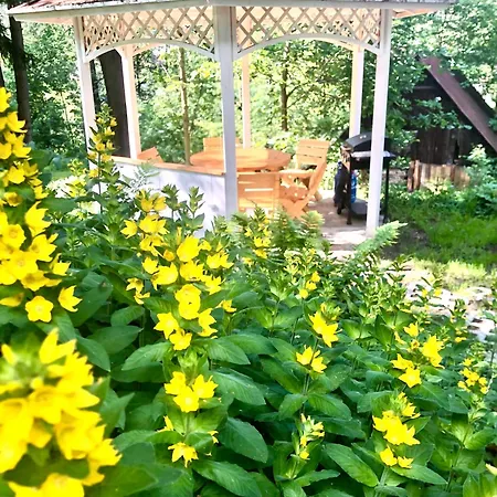 Slow Life Karkonosze Chata