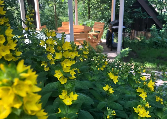 Slow Life Karkonosze *