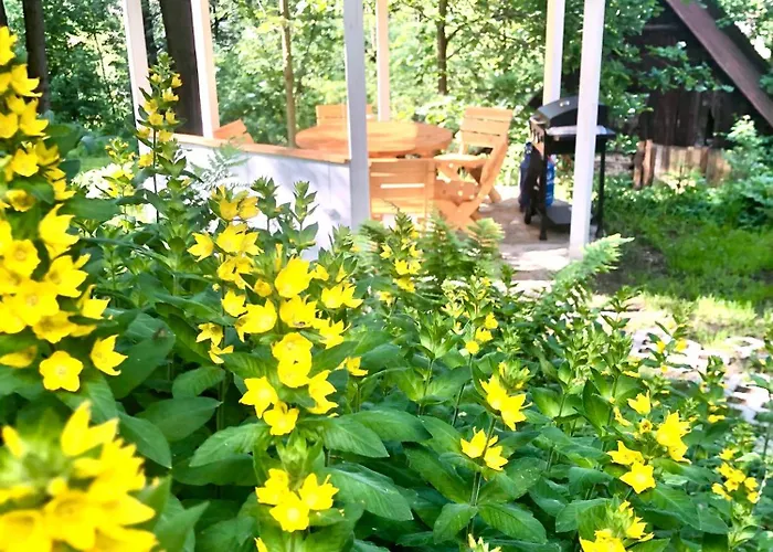 Slow Life Karkonosze Chata