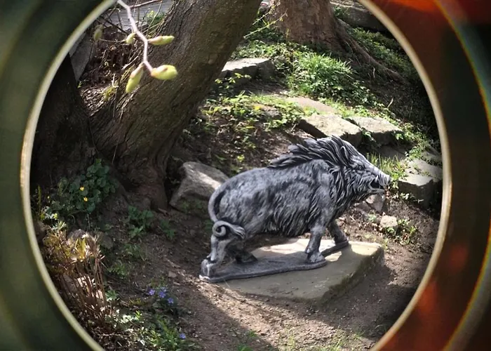 Slow Life Karkonosze Lodge